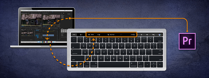 触控支持 触控支持